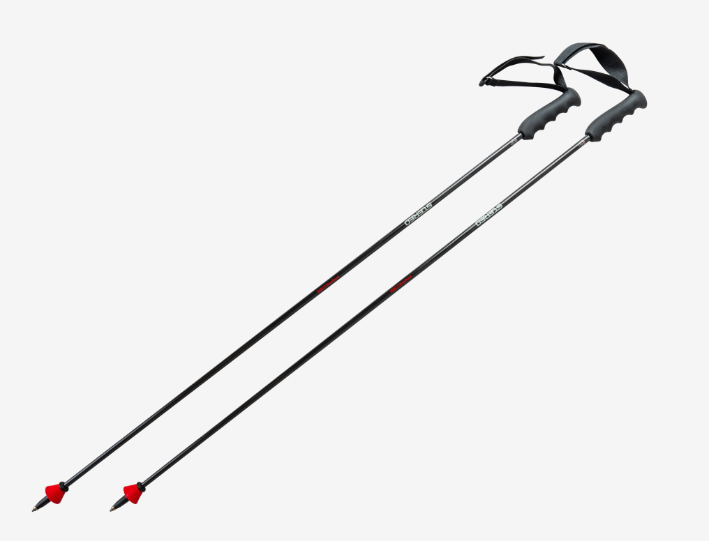 GS Race poles